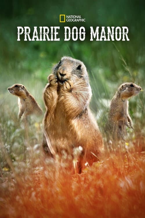 Poster for Prairie Dog Manor