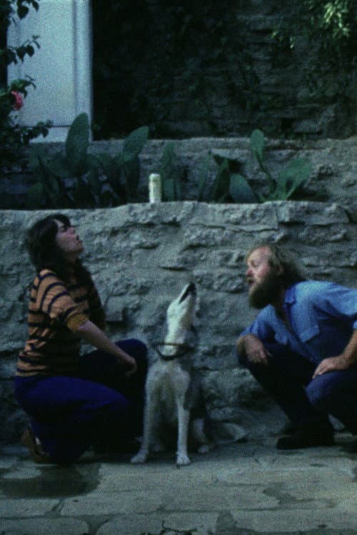 Poster for Sleeping Dogs (Never Lie)