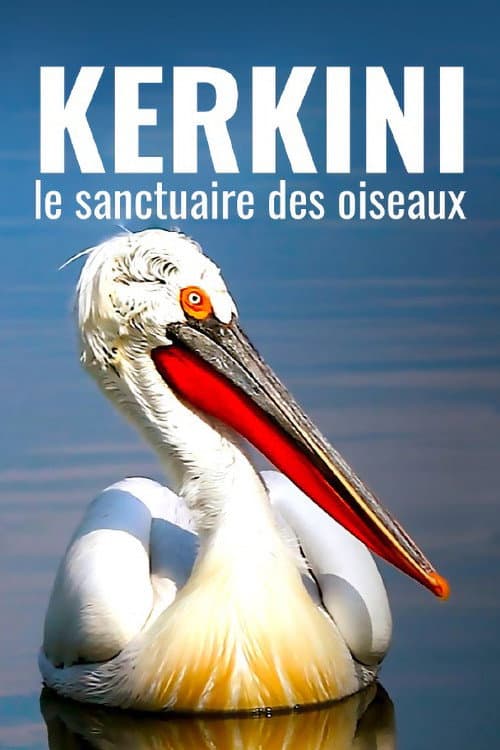 Poster for Kerkini: The Bird Sanctuary