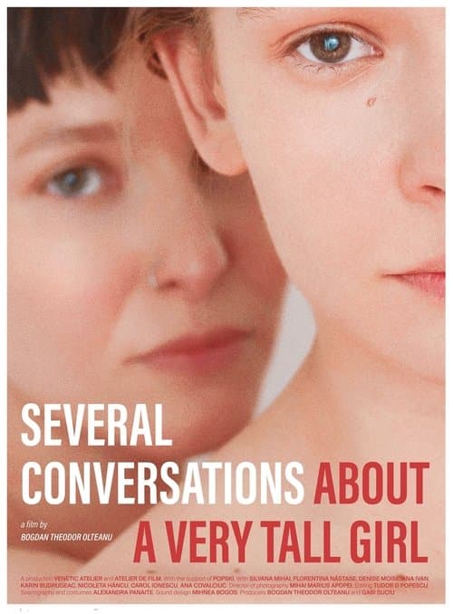 Poster for Several Conversations About a Very Tall Girl