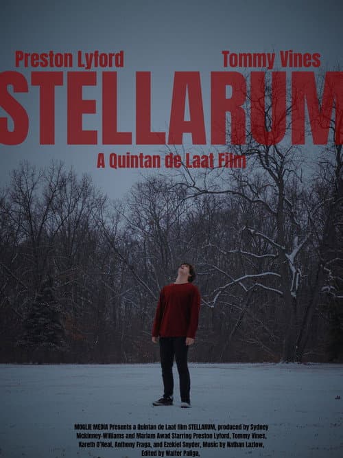 Poster for STELLARUM