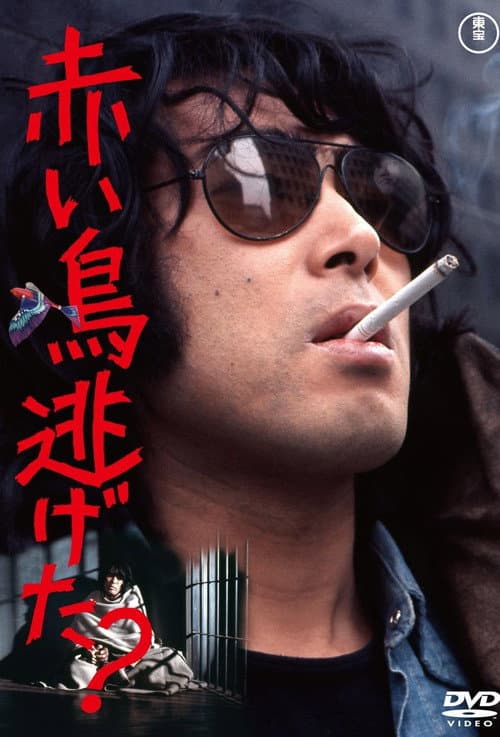 Poster for Did the Red Bird Escape?