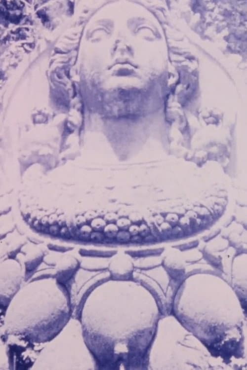 Poster for Shadows from the Western Wall