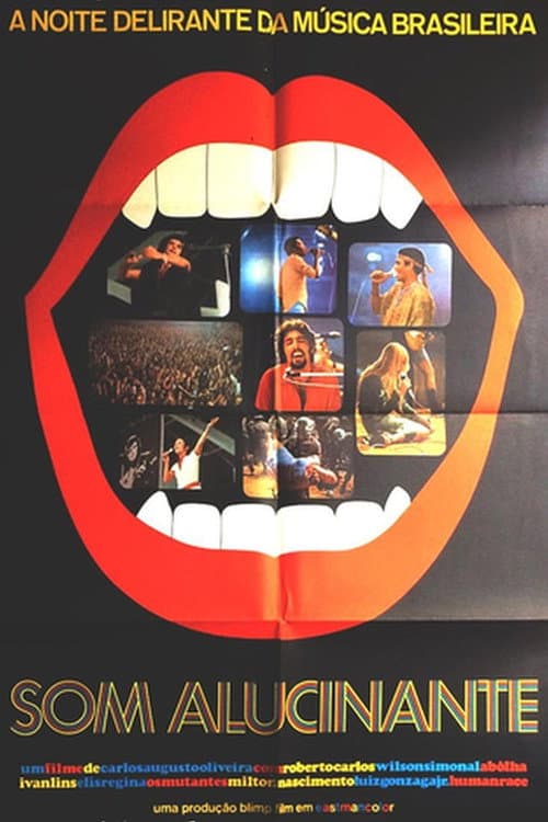 Poster for O Som Alucinante