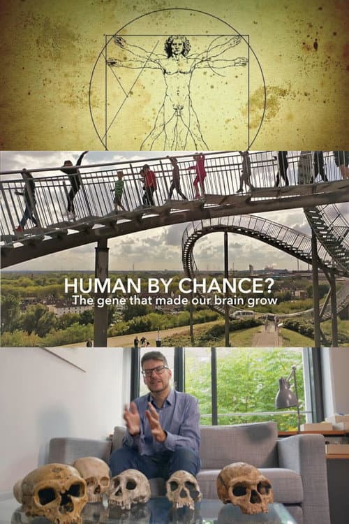 Poster for Human By Chance?