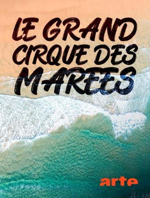 Poster for Le grand cirque des marées