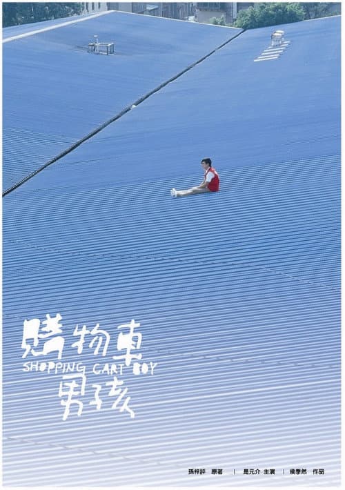 Poster for Shopping Cart Boy