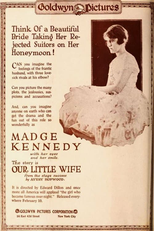 Poster for Our Little Wife