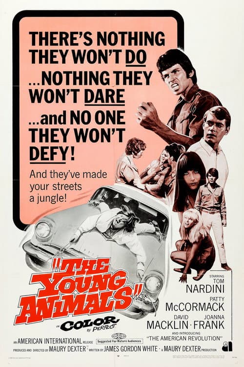 Poster for The Young Animals