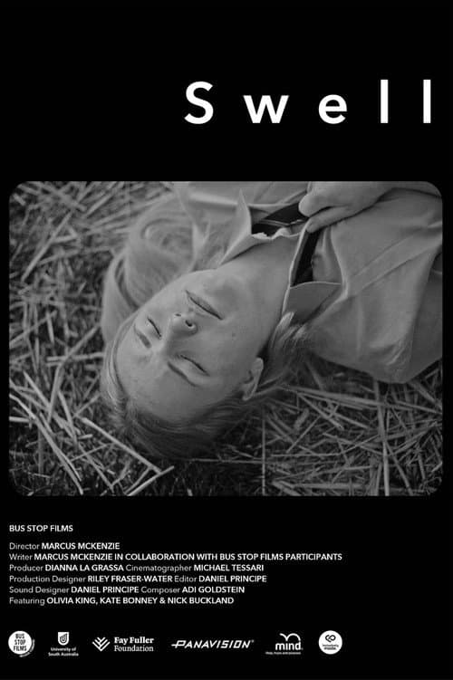 Постер до фільму «Swell»