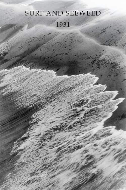 Poster for Surf and Seaweed