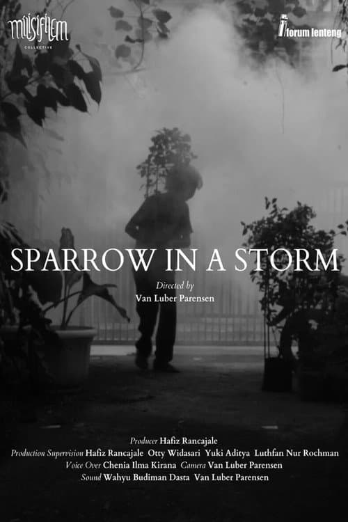 Poster for Sparrow in the Storm