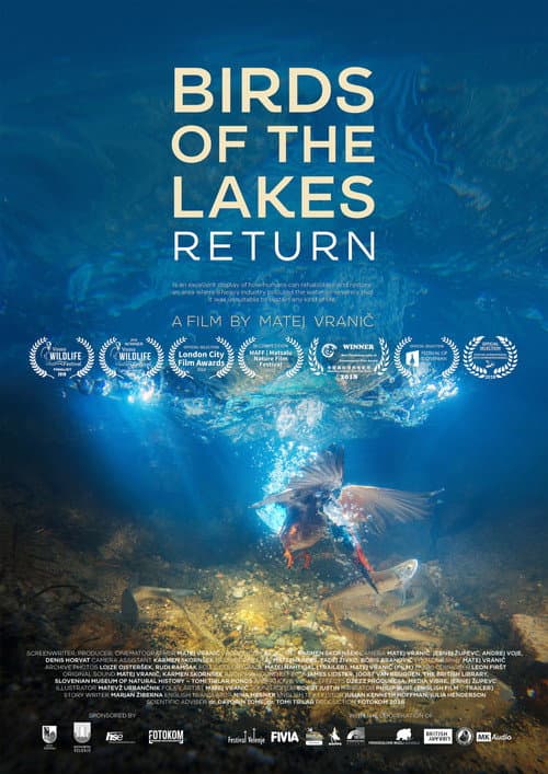 Poster for Birds of the Lakes Return