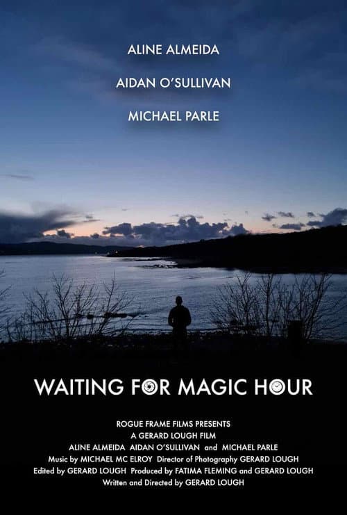 Poster for Waiting for Magic Hour