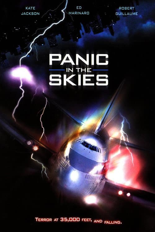 Poster for Panic in the Skies!