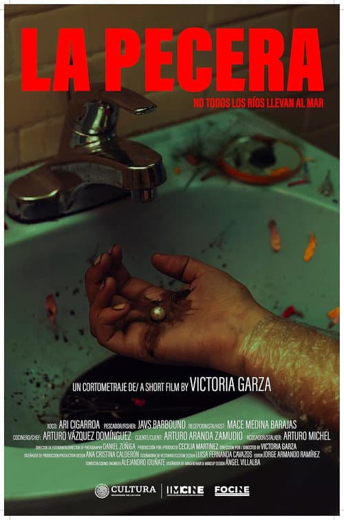 Poster for The Fish Tank