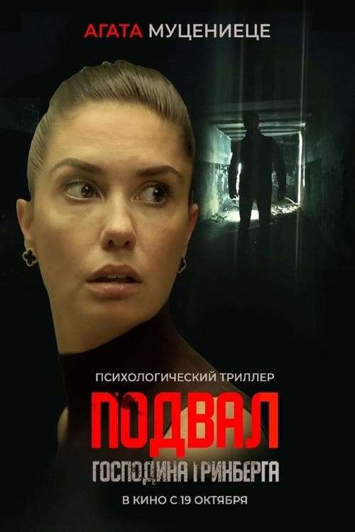 Poster for Mr. Greenberg's Basement
