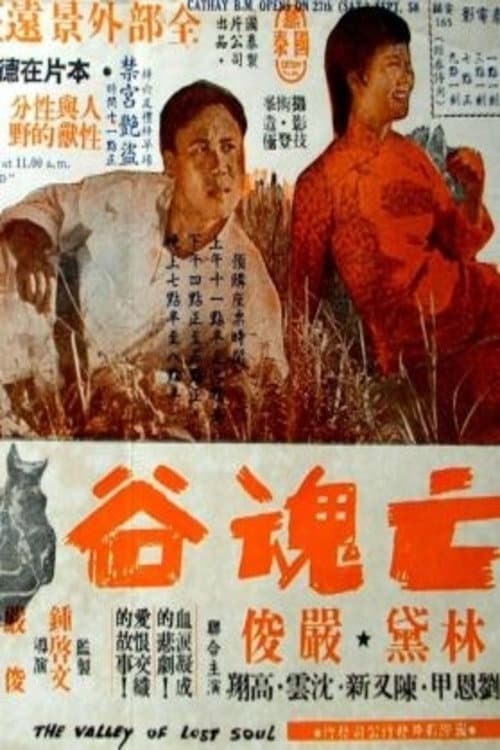 Poster for The Valley of the Lost Soul