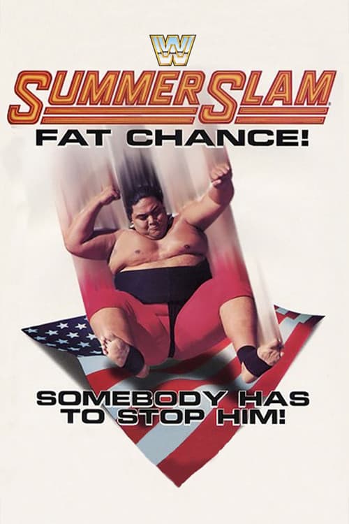 Poster for WWE SummerSlam 1993