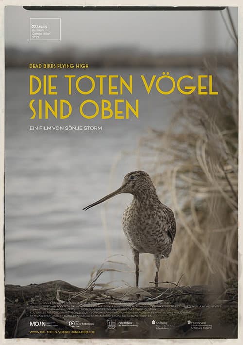 Poster for Dead Birds Flying High