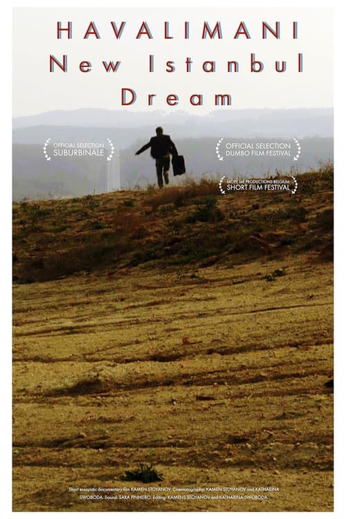 Poster for New Istanbul Dream