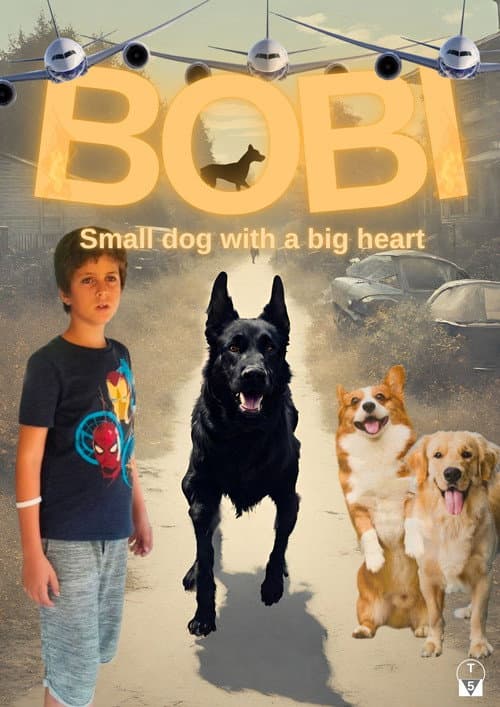 Poster for BOBI