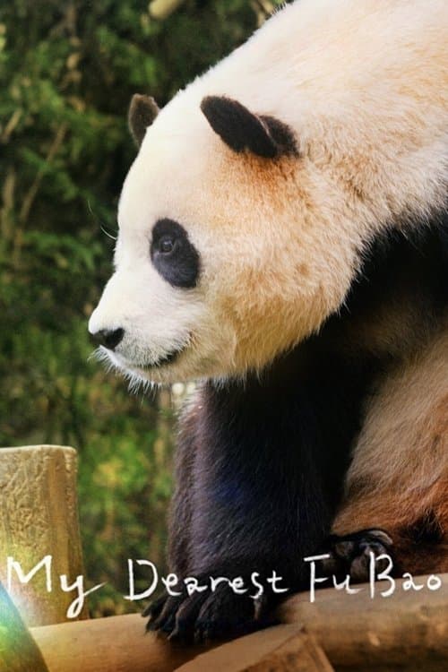 Poster for My Dearest Fu Bao