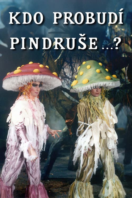 Poster for Kdo probudí Pindruše...?