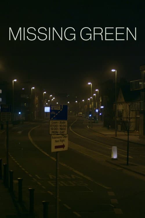 Poster for Missing Green