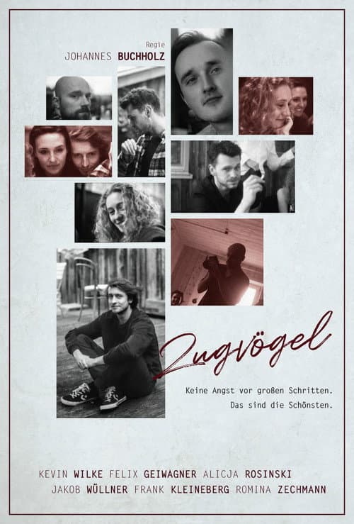 Poster for Zugvögel