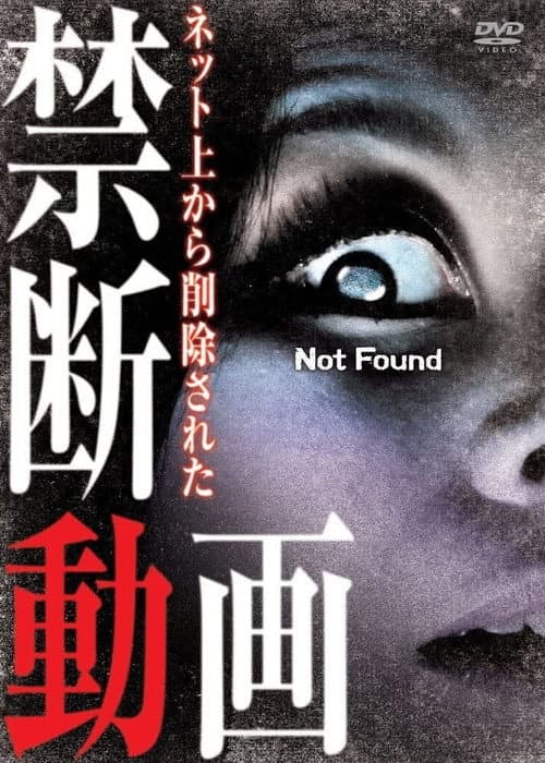 Постер до фільму «Not Found 1»