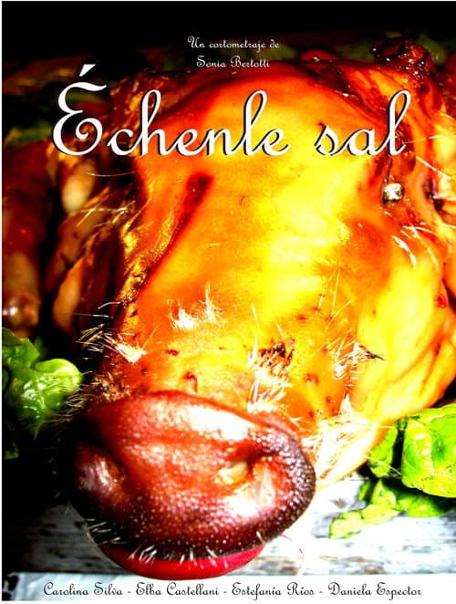 Poster for Échenle Sal