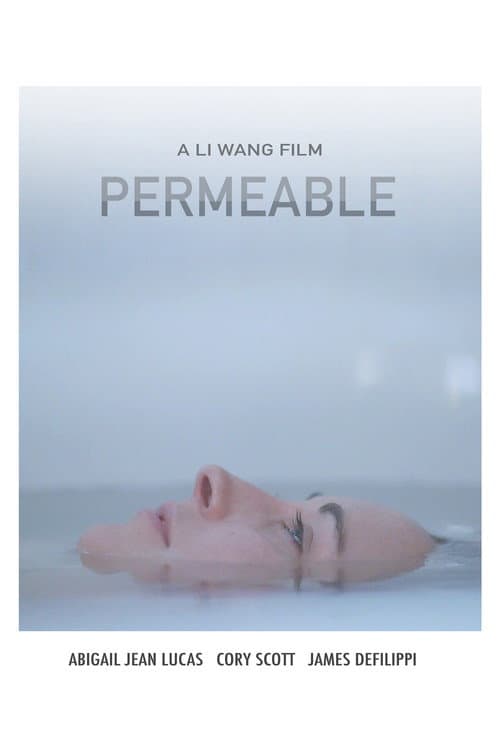 Poster for Permeable