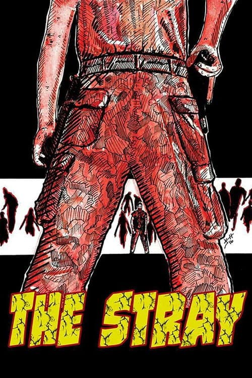 Poster for The Stray