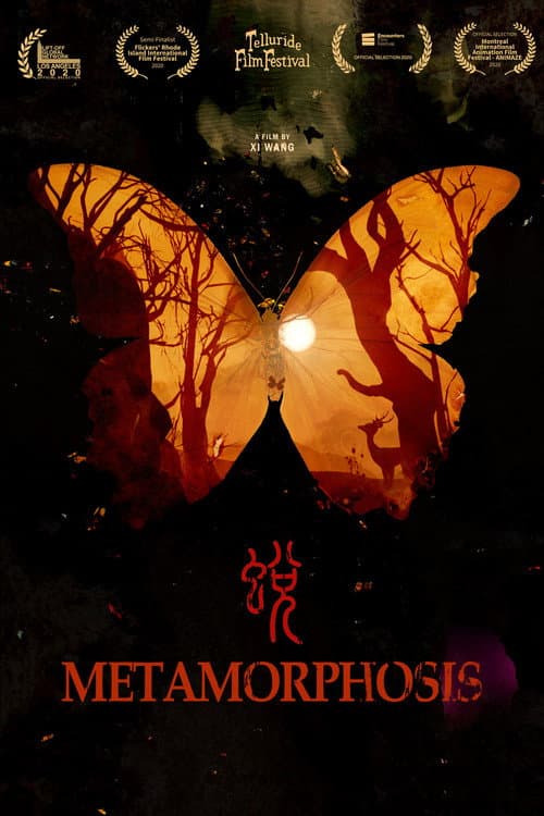 Постер до фільму «Metamorphosis»