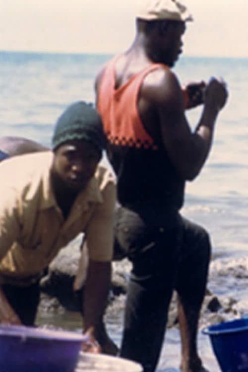 Poster for Les chutes de Ngalam