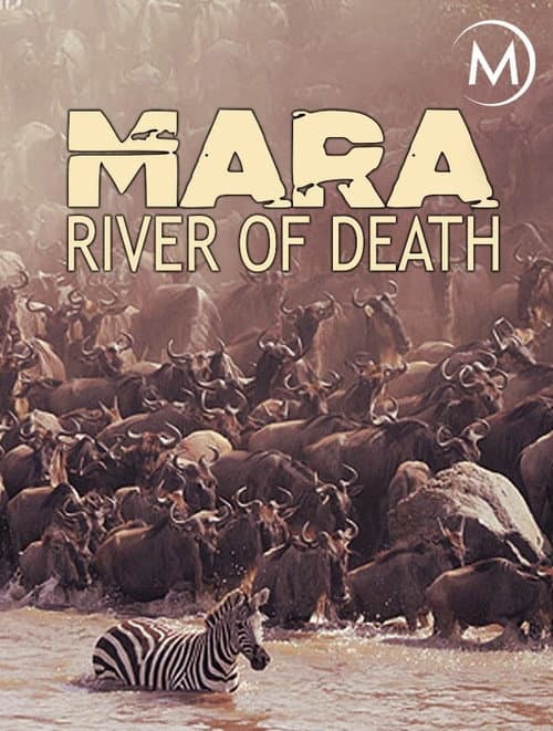 Poster for Mara: River of Death