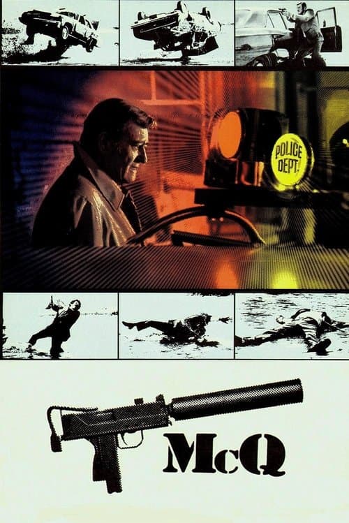 Poster for McQ