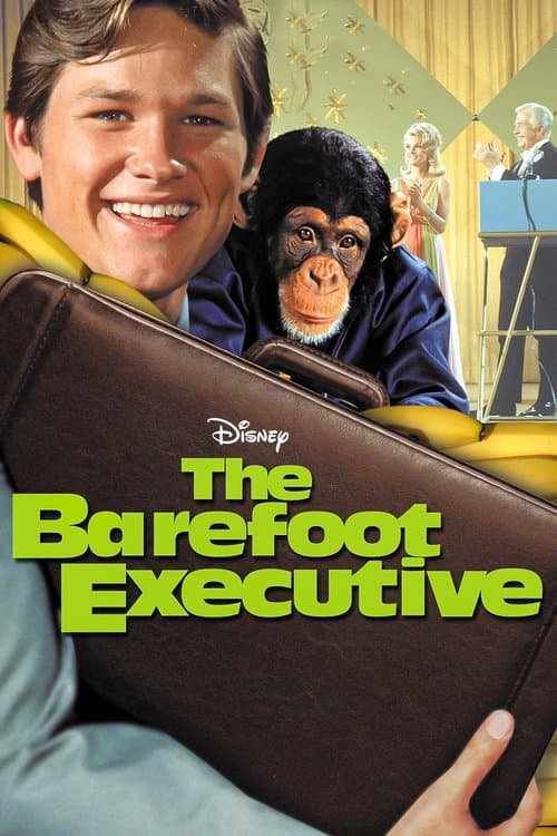 Poster for The Barefoot Executive