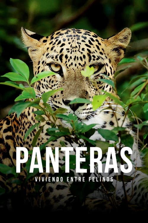 Poster for Panteras: viviendo entre felinos