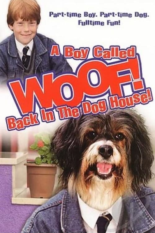 Poster for A Boy Called Woof!