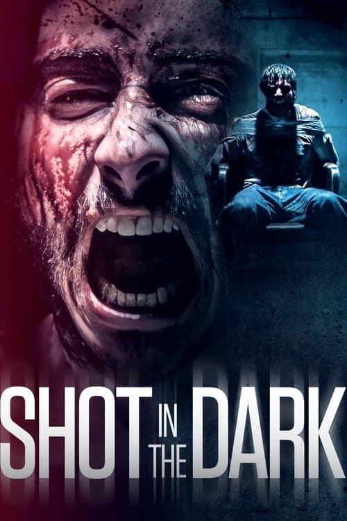 Poster for Shot in the Dark