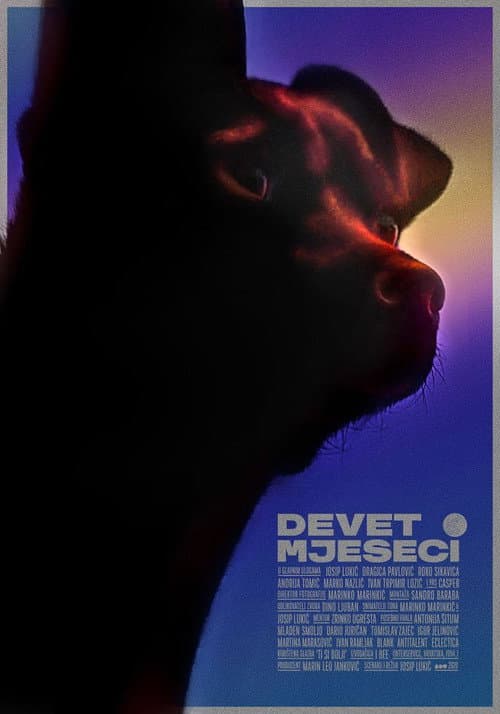 Poster for Nine Months