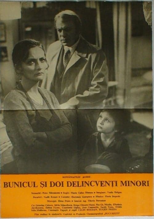 Poster for Grandpa and Two Young Offenders
