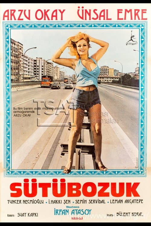 Poster for Sütü Bozuk