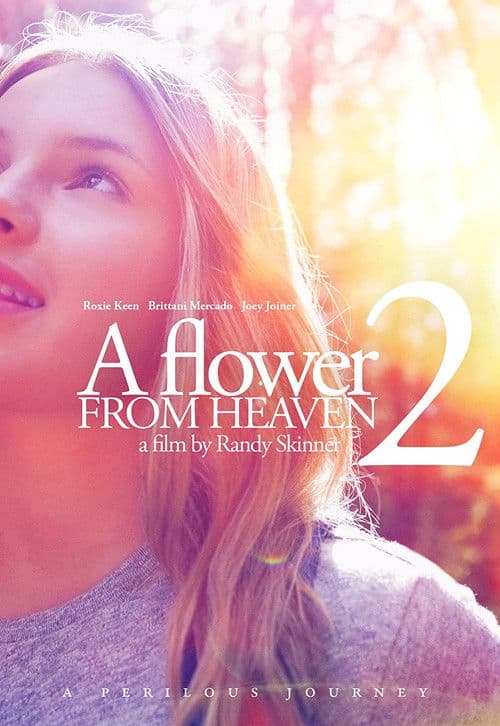 Poster for A Flower from Heaven 2: A Perilous Journey