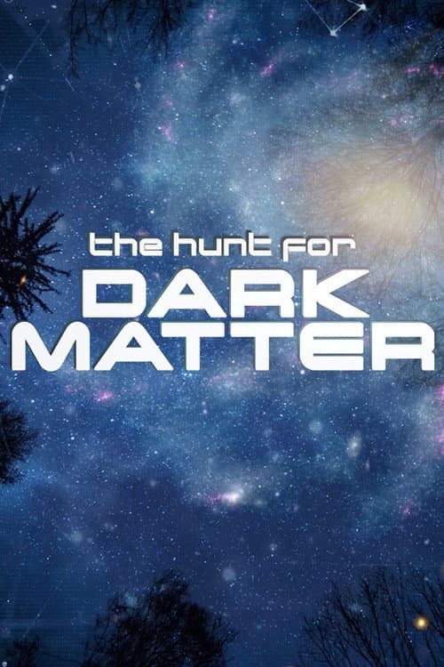 Poster for The Hunt for Dark Matter