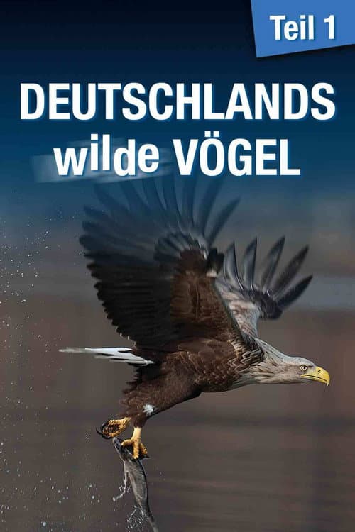 Poster for Deutschlands wilde Vögel