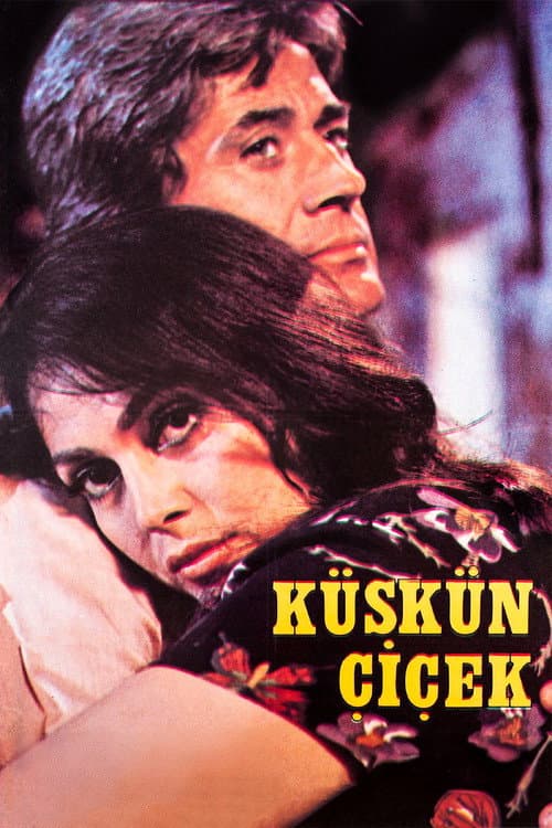 Poster for Resentful Flower