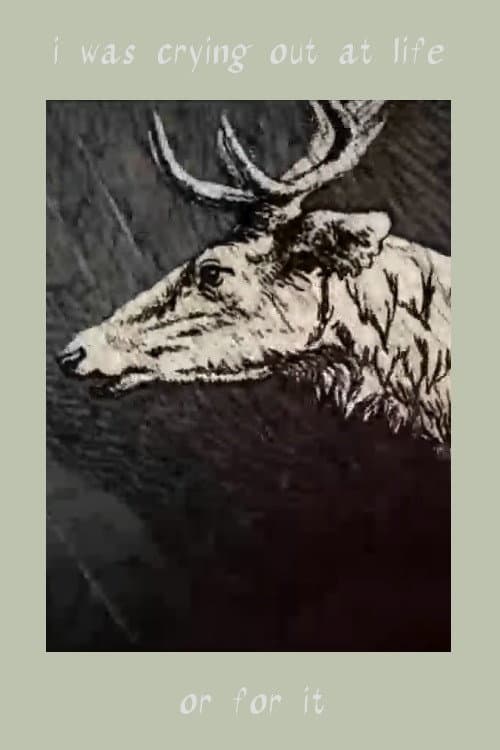Poster for I Was Crying Out at Life. Or For It